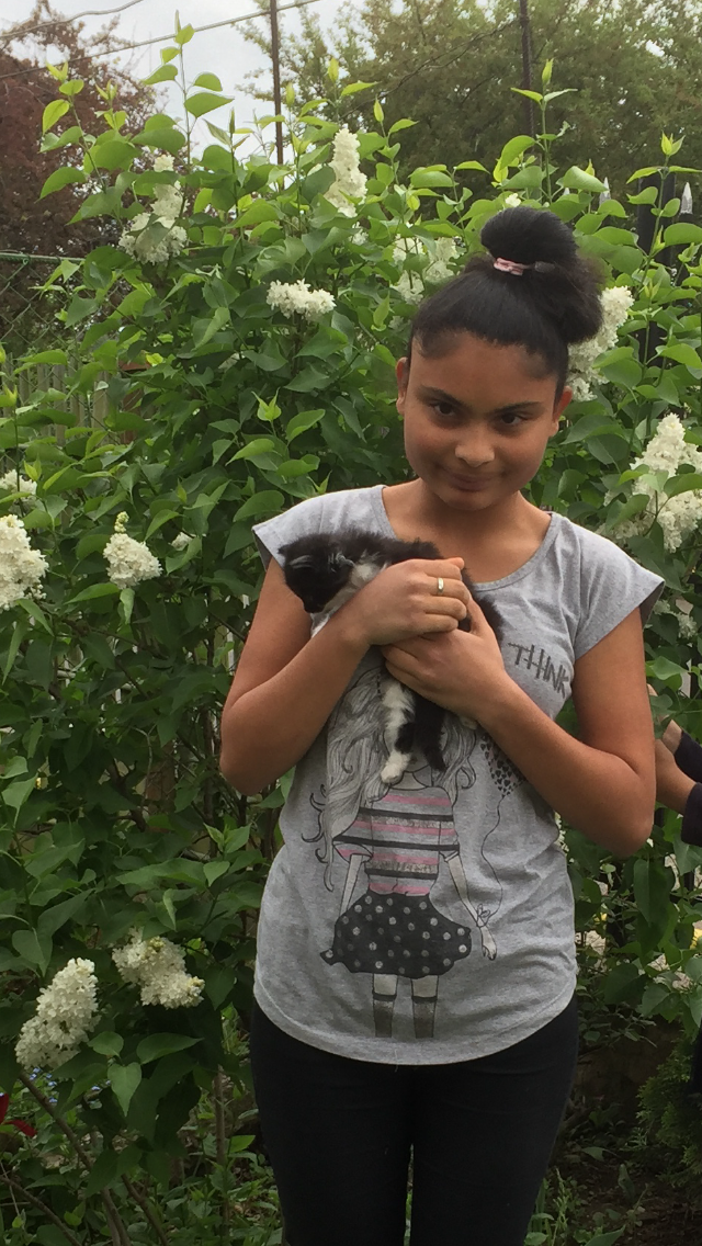 Cette image a un attribut alt vide ; son nom de fichier est img-6611.png