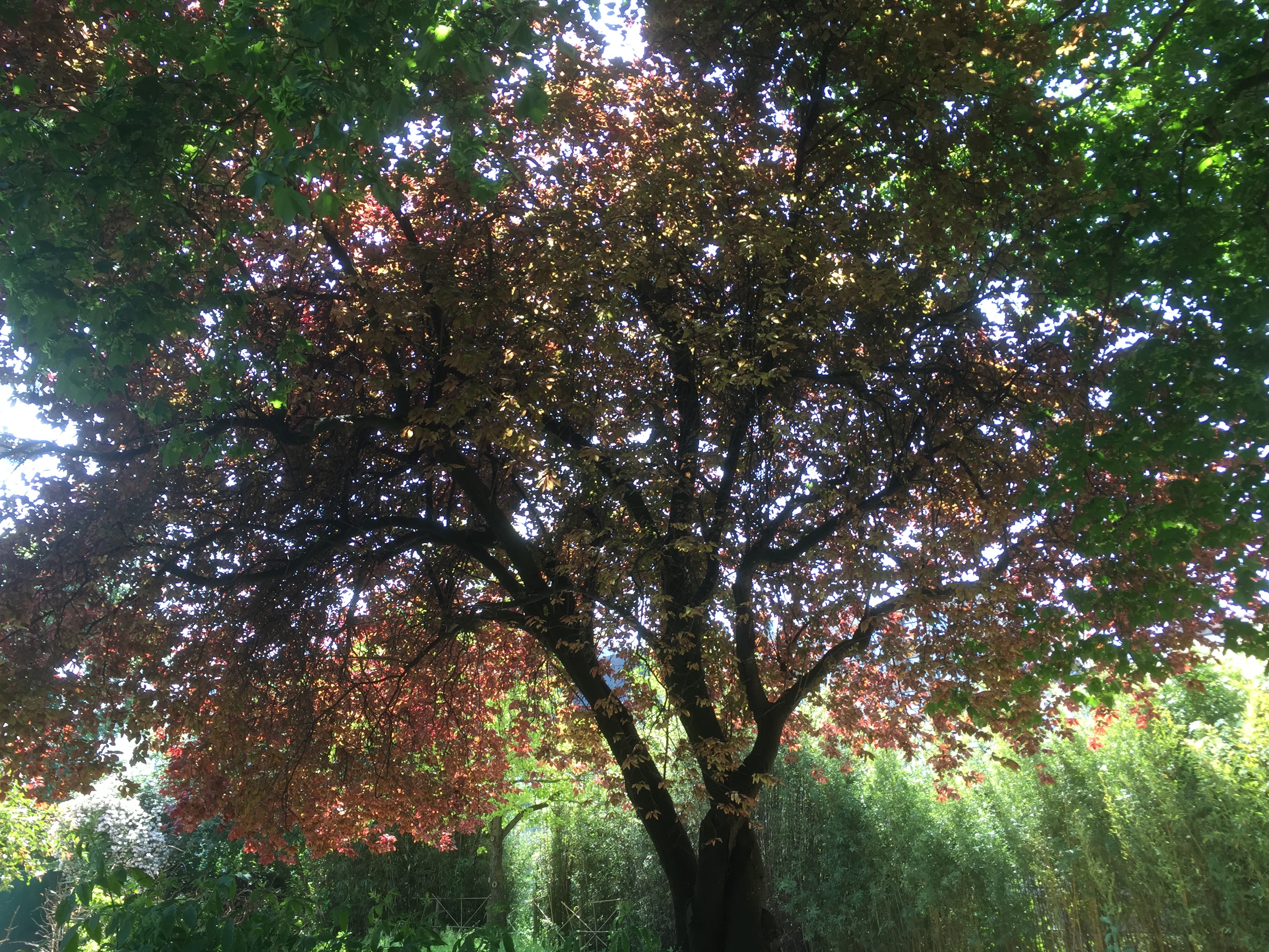 Cette image a un attribut alt vide ; son nom de fichier est img_4326.jpg